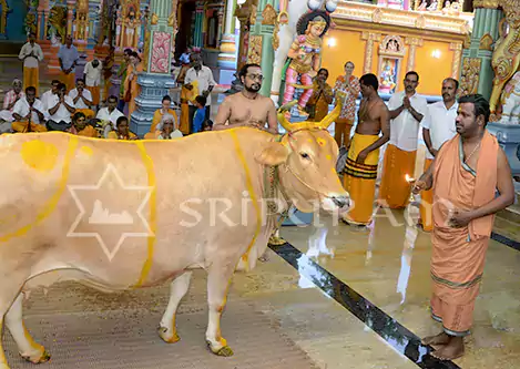 Gho Pooja Seva