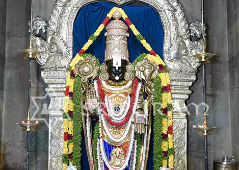Srinivasa Perumal Abhishekam